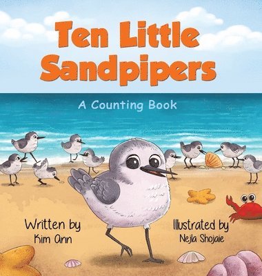 bokomslag Ten Little Sandpipers