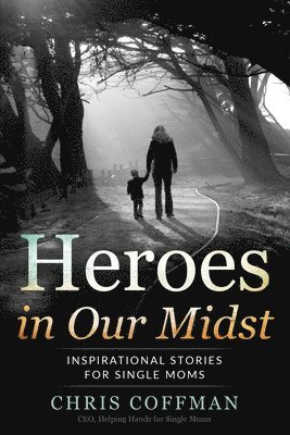 bokomslag Heroes in Our Midst: Inspirational Stories for Single Moms