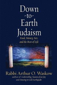 bokomslag Down to Earth Judaism