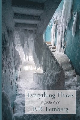 bokomslag Everything Thaws