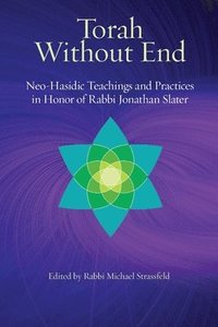 bokomslag Torah Without End