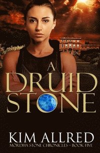 bokomslag A Druid Stone