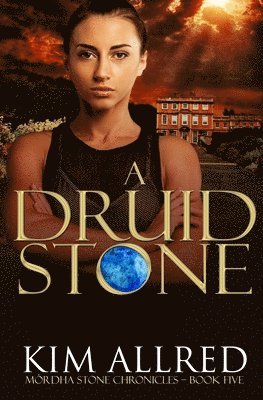 bokomslag Druid Stone