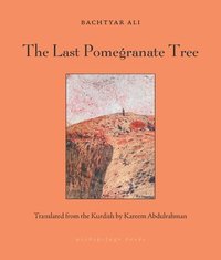bokomslag Last Pomegranate Tree