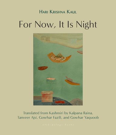 Hari Krishna Kaul, Kalpana Raina, Tanveer Ajsi - For Now, It Is Night, Häftad