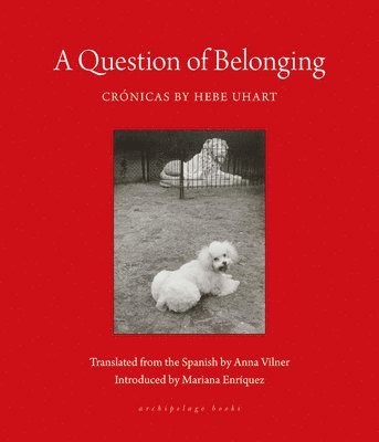 A Question of Belonging 1