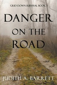 bokomslag Danger on the Road