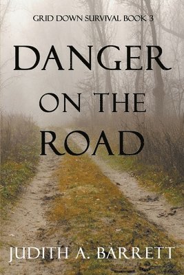 Danger on the Road 1