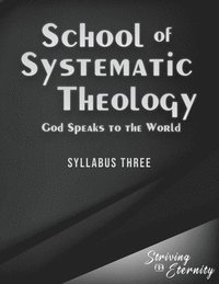 bokomslag School of Systematic Theology - Book 3