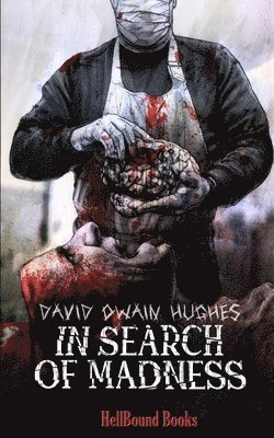 David Owain Hughes - In Search of Madness, Häftad