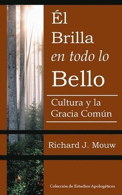 Richard J Mouw - Brilla en todo lo Bello, Häftad