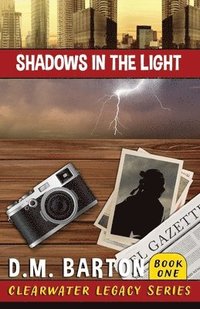 bokomslag Shadows in the Light