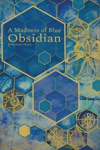 bokomslag A Madness of Blue Obsidian
