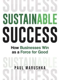 bokomslag Sustainable Success