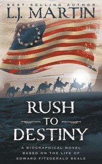 bokomslag Rush to Destiny