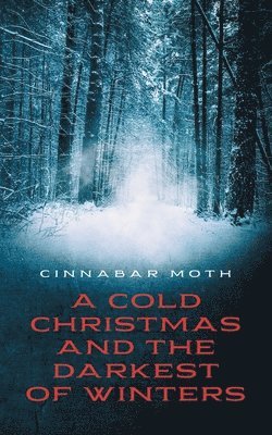 A Cold Christmas and the Darkest of Winters 1