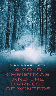 A Cold Christmas and the Darkest of Winters 1