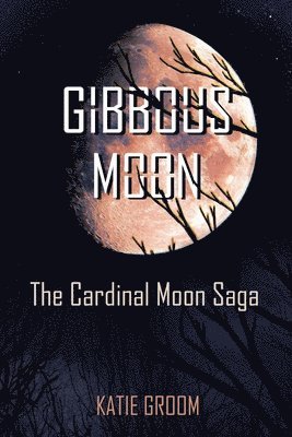 Gibbous Moon 1