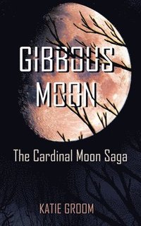 bokomslag Gibbous Moon