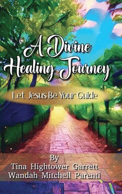 bokomslag Divine Healing Journey