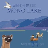 bokomslag Magnificent Majestic Mono Lake