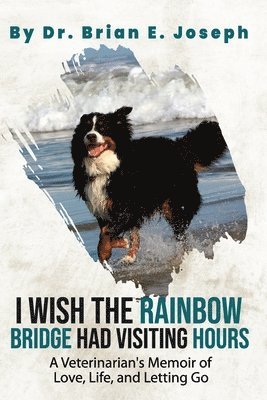 I Wish the Rainbow Bridge Had Visiting Hours 1