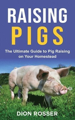 Raising Pigs 1