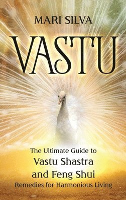 Mari Silva - Vastu, Inbunden