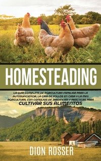 bokomslag Homesteading