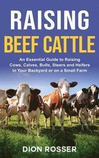 bokomslag Raising Beef Cattle