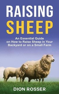 bokomslag Raising Sheep
