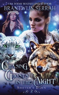 Chasing Ghosts in the Night 1