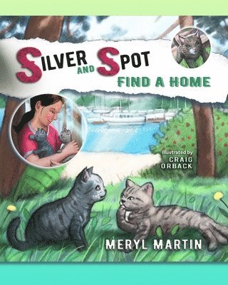 Silver and Spot Find a Home 1
