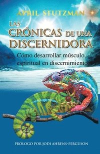 bokomslag Las crnicas de una discernidora (Spanish Edition)