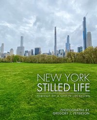 bokomslag New York Stilled Life