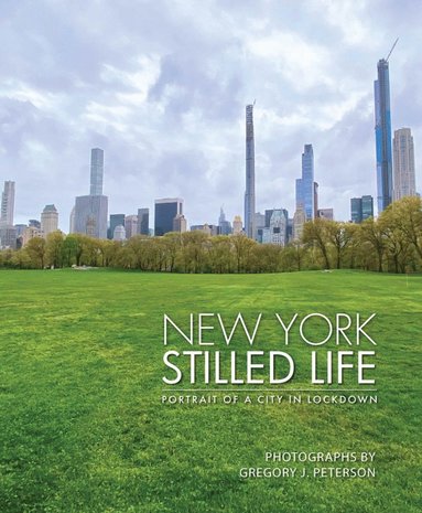 bokomslag New York Stilled Life