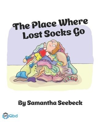 bokomslag Place Where Lost Socks Go