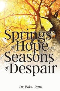bokomslag Springs of Hope in the Seasons of Despair