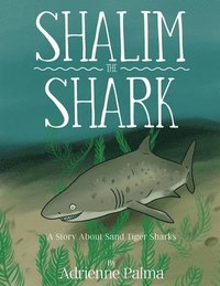 bokomslag Shalim the Shark