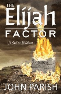 bokomslag The Elijah Factor