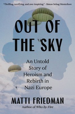 bokomslag Out of the Sky