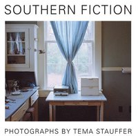 bokomslag Southern Fiction