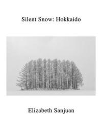 bokomslag Silent Snow