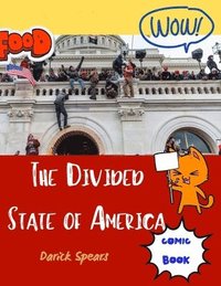 bokomslag The Divided State of America