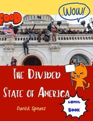 The Divided State of America 1