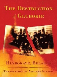bokomslag Destruction of Glubokie (Hlybokaye, Belarus)