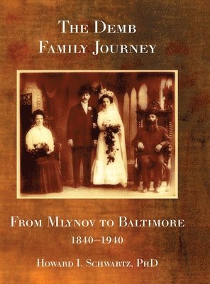 bokomslag The Demb Family Journey - from Mlynov to Baltimore