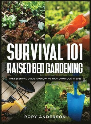 bokomslag Survival 101 Raised Bed Gardening