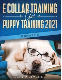 bokomslag E Collar Training AND Puppy Training 2021 (2 Books IN 1)