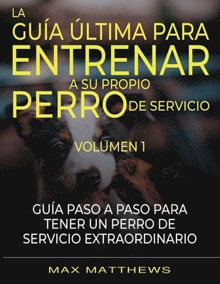 La Guia Ultima Para Entrenar A Su Propio Perro De Servicio 1